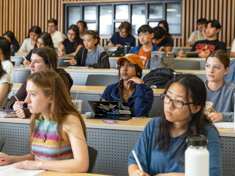 săn học bổng đại học texas